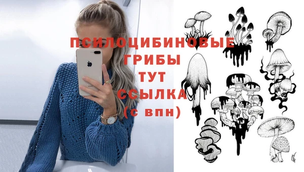 тгк Дмитровск