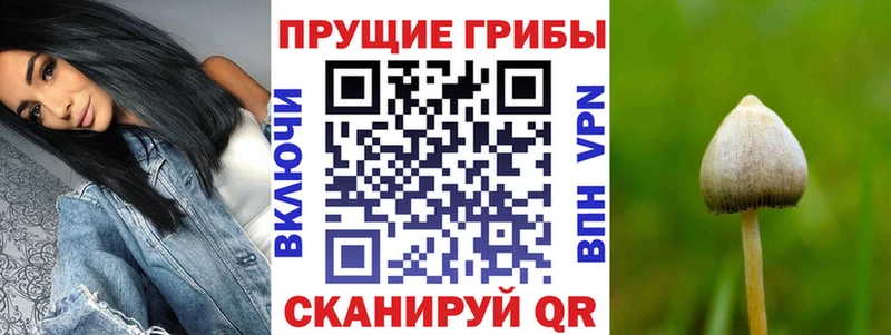 Псилоцибиновые грибы MAGIC MUSHROOMS  Купить закладки  Калачинск 