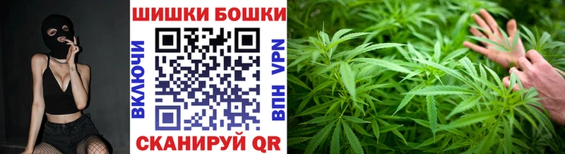 Бошки Шишки конопля  Купить закладки  Калачинск 